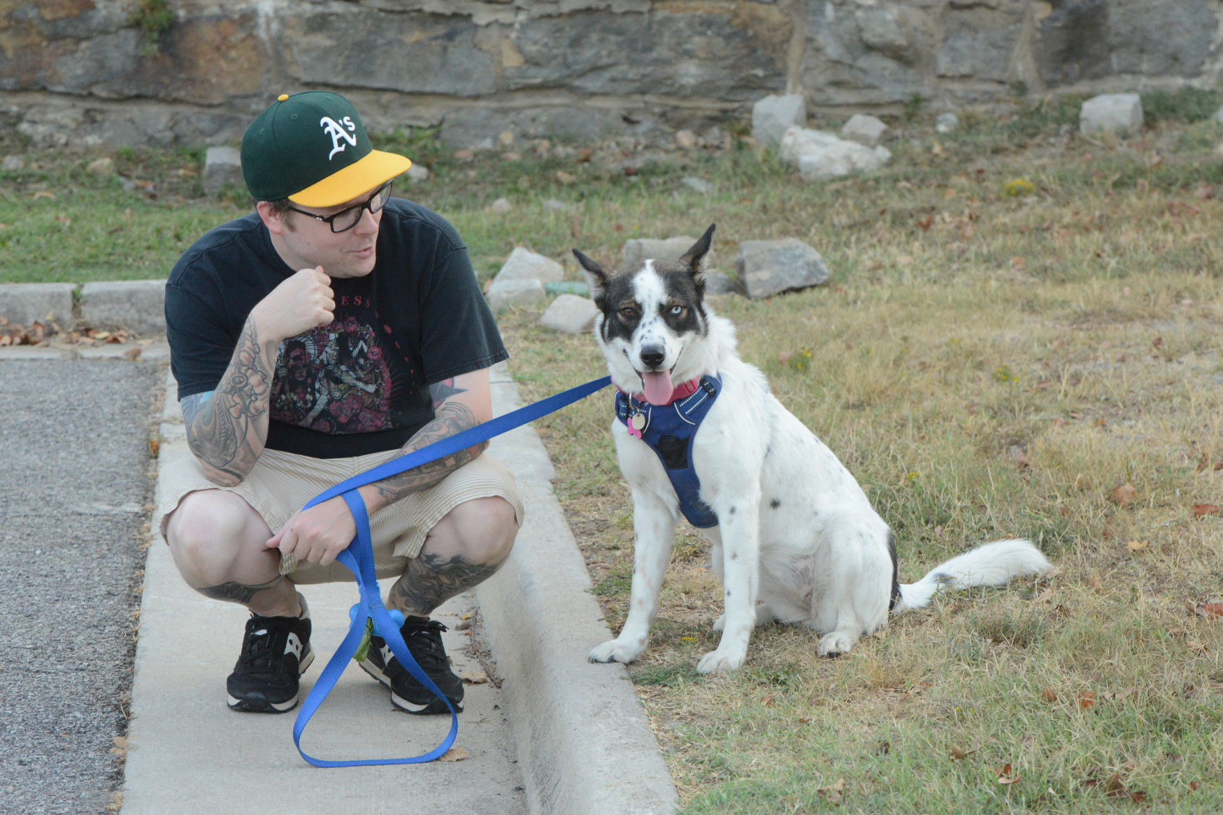 Barktober in Danville